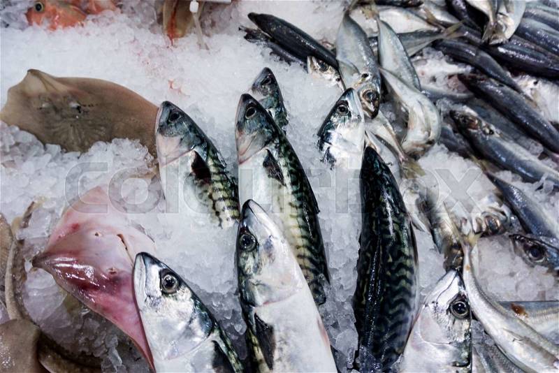 Fresh raw fish in the market. Various fishes on ice, stock photo
