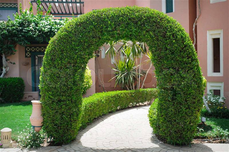 Beautiful green arch with decorative tree at the hotel, stock photo