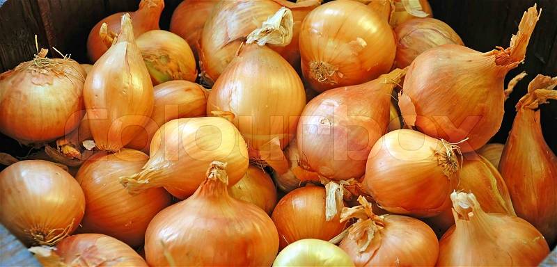 Orange large onion bulbs food background, stock photo