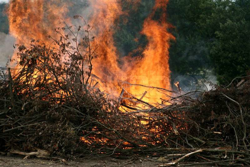 Controlled fire of trees and branches, stock photo