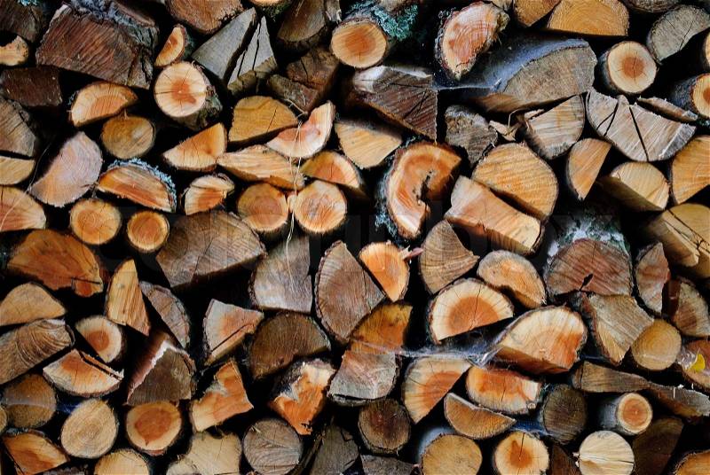 Firewoods after the sawing wood, stock photo