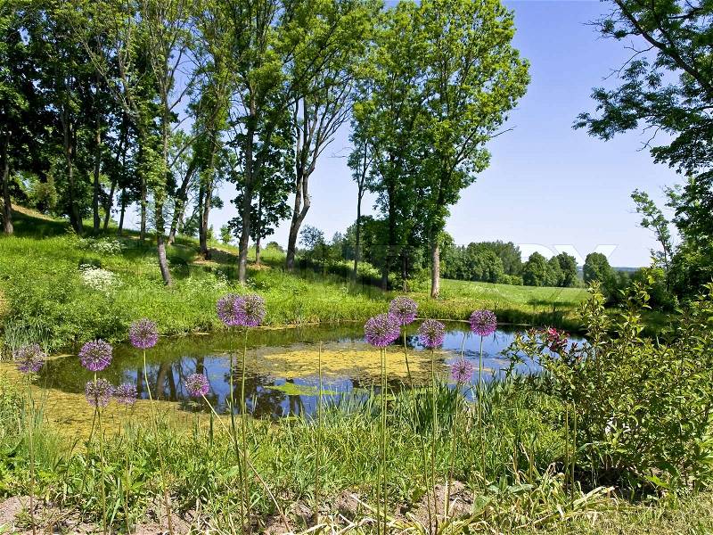 Scenic water pond in the beautiful sunny nature, stock photo