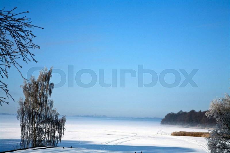Field with trees and snow, stock photo