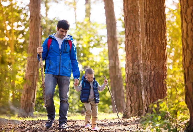 Father and son walking during the hiking activities in autumn forest at sunset, stock photo