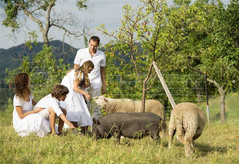 Family with five kids is feeding animals on the farm, stock photo