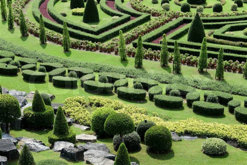 Topiary in an English Formal Garden, stock photo