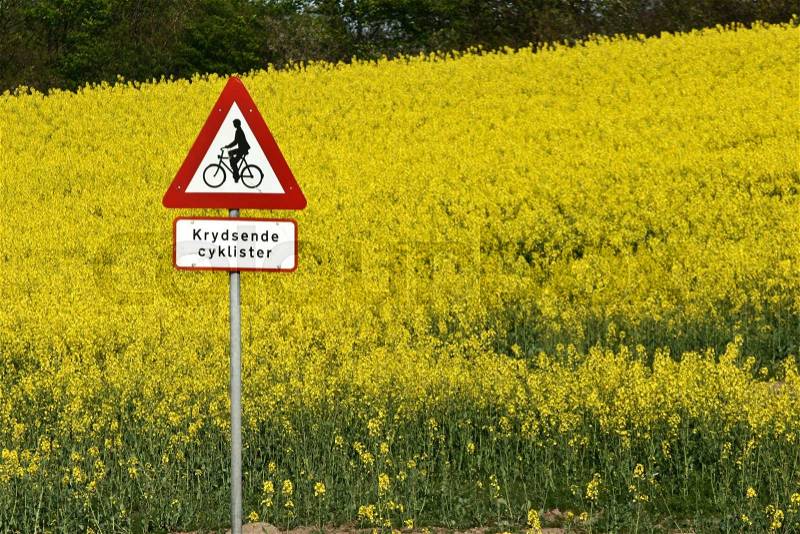 Rapse field and traffic sign in the summer in the countryside in denmark, stock photo