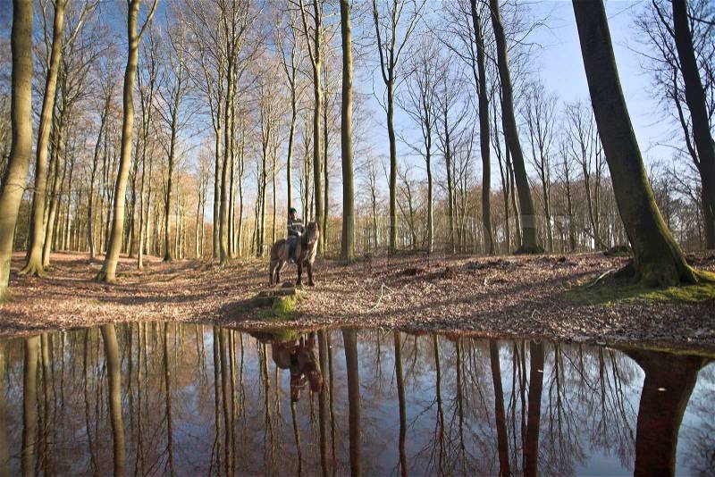 Lake in denmark in a forest, water and trees and rider, stock photo