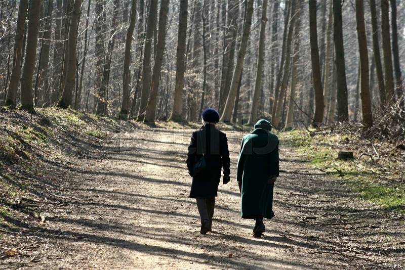 Two seniors on a path in a forest, stock photo