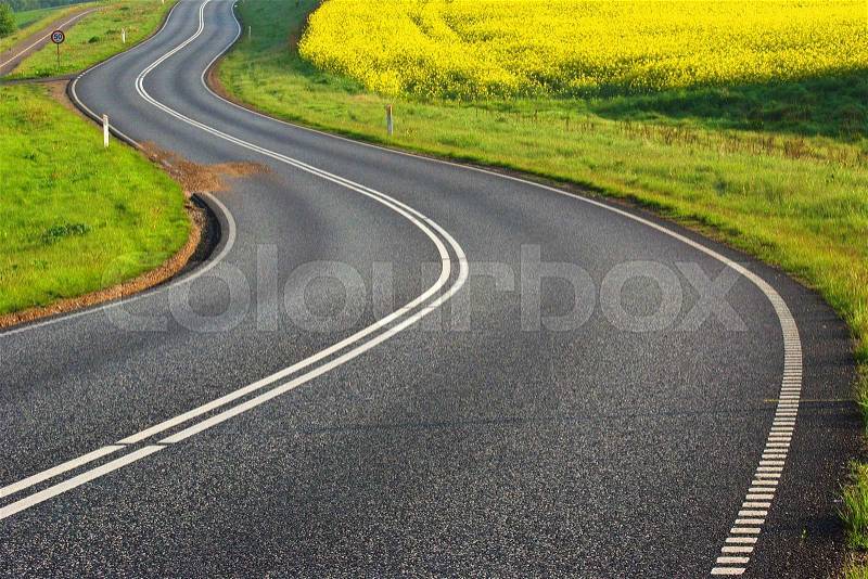 Road in the countryside in denmark and rapse field, stock photo