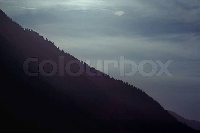 Mountain with fir trees during late evening. Natural light and colors, stock photo