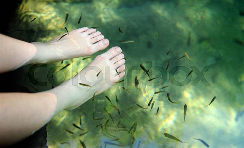 Nature fish spa is free for traveler who come to Krabi 2 colors canal, stock photo