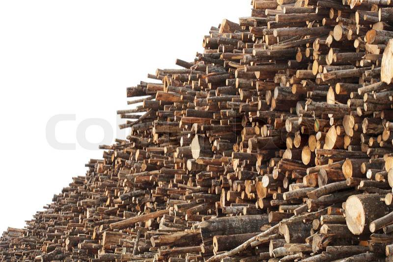 A stack of logs used as forest industry pulp wood, stock photo