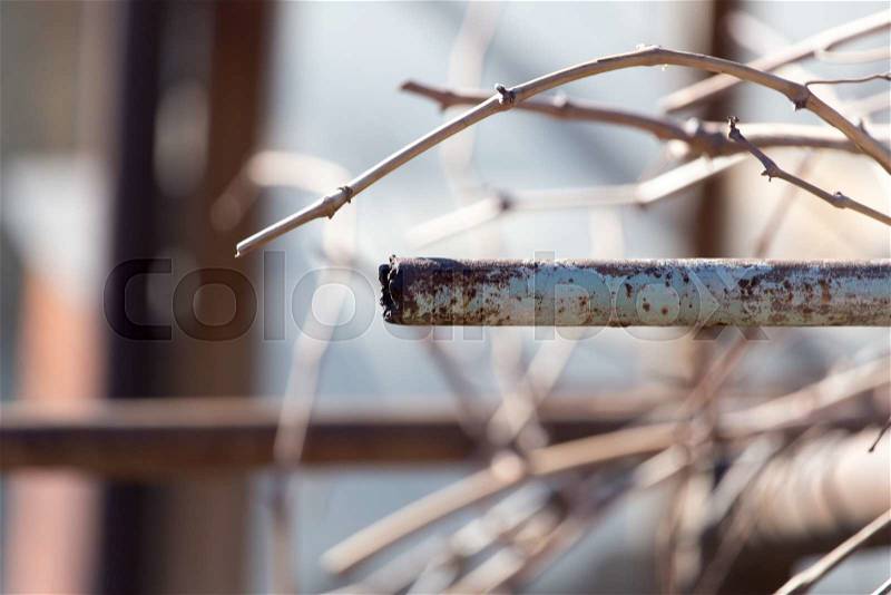 Rusty pipe on the nature, stock photo