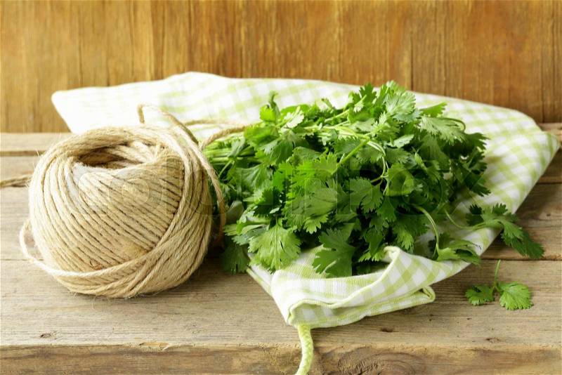 Bunch of fresh green coriander (cilantro) on a wooden table, stock photo