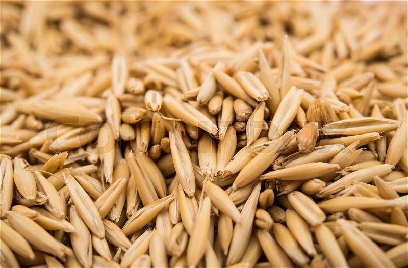 Heap of organic oat grains as background, healthy food and nutrition, stock photo
