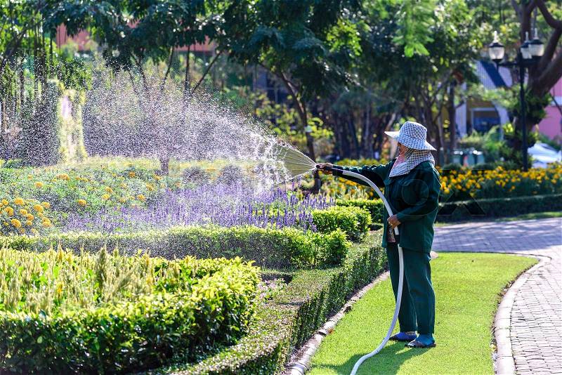 Gardener watering for flowering plants in garden, stock photo