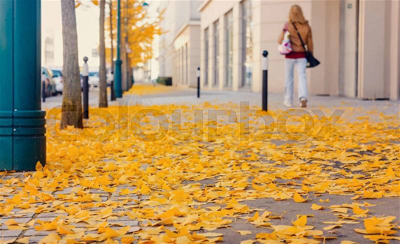 Yellow fallen leaves on a cobblestone street Buildings along the walking people, stock photo