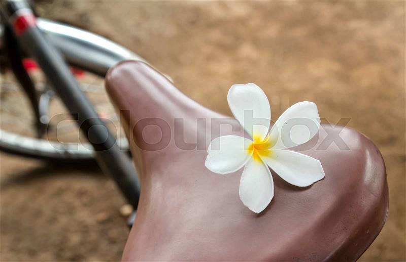 Close up fresh plumeria flower on bicycle seats, stock photo