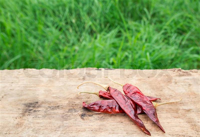 Bundle of dried chili peppers on wooden with green grass background, stock photo