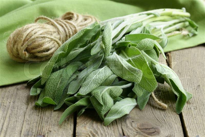 Bunch of fresh green sage on a wooden table, stock photo