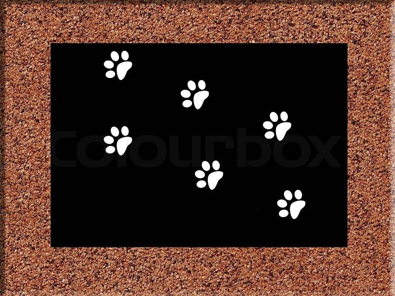 Traces of a cat in a frame, stock photo