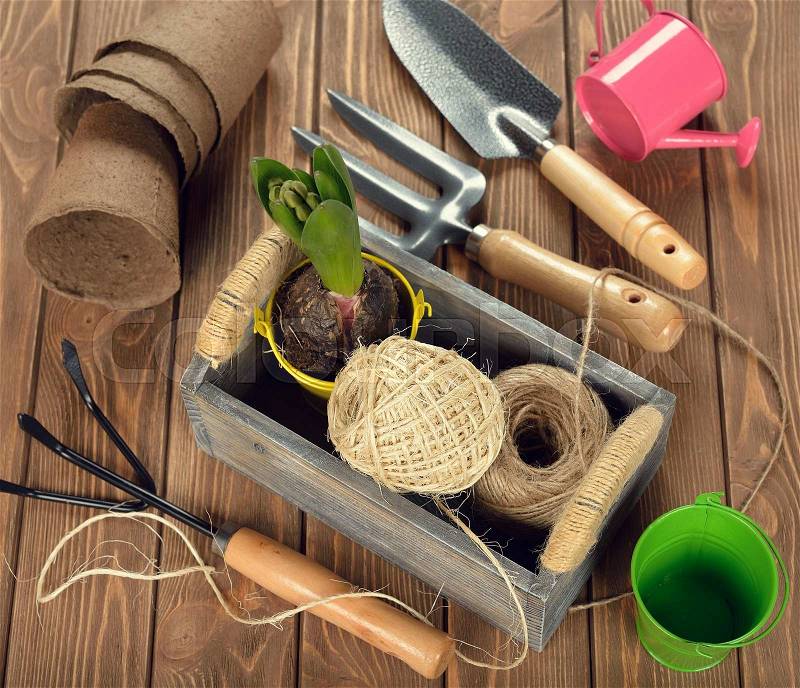 Garden tools in a wooden box on brown background, stock photo