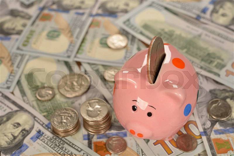 Pig piggy bank with coins, stock photo