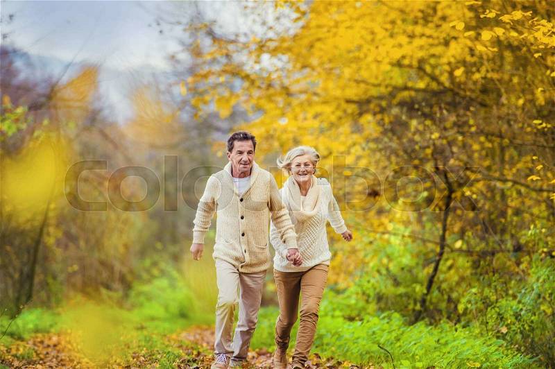 Active seniors having fun and playing with the leaves in autumn forest, stock photo