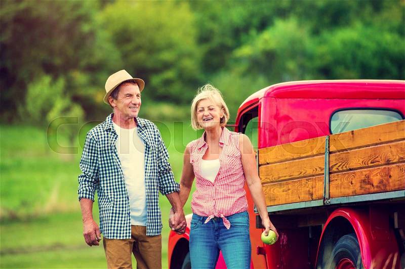 Senior couple standing next to the red truck , stock photo