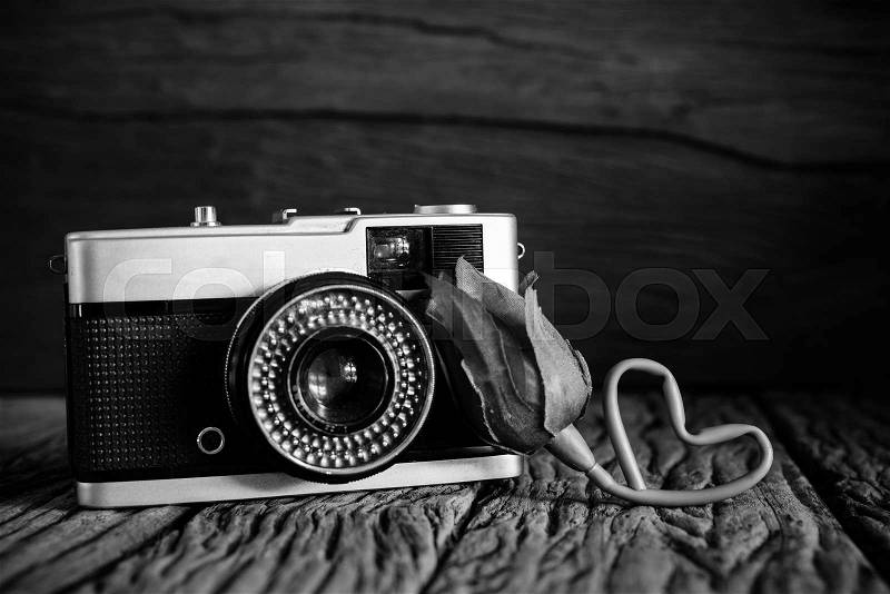 Vintage camera with rose in black and white filter, stock photo