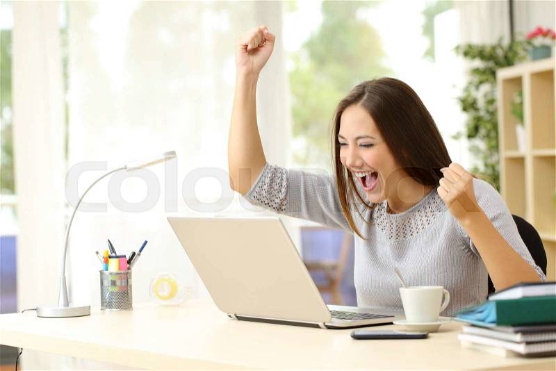 Euphoric winner watching a laptop on a desk winning at home, stock photo