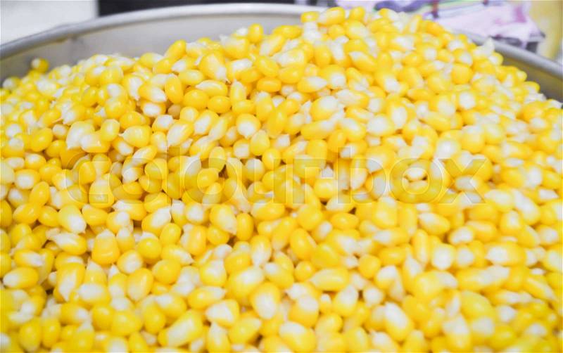 Boil corn kernels for cook some food, stock photo