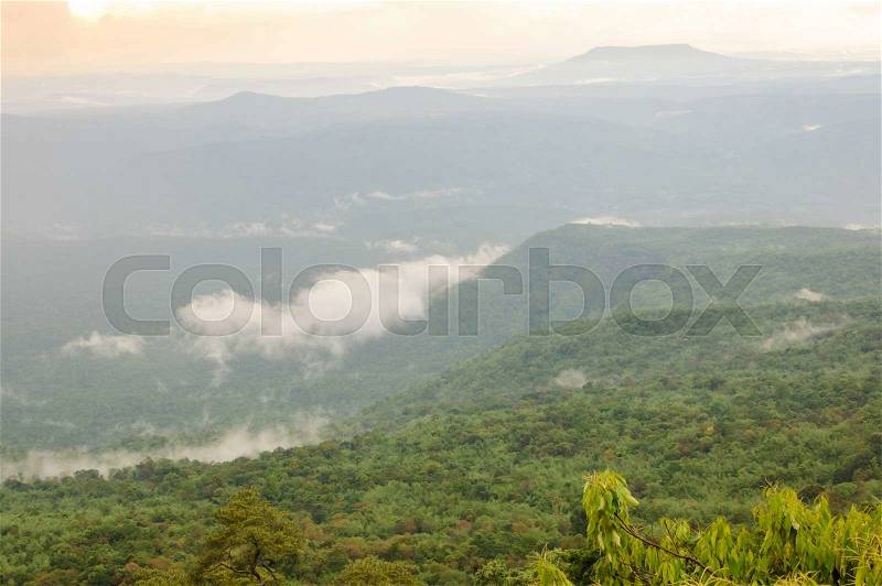 The nature of sunset and mist in rainforest, Thailand, stock photo