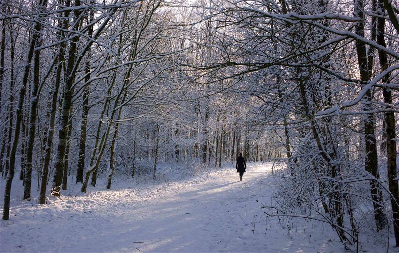 Winter landscape with people walking, stock photo