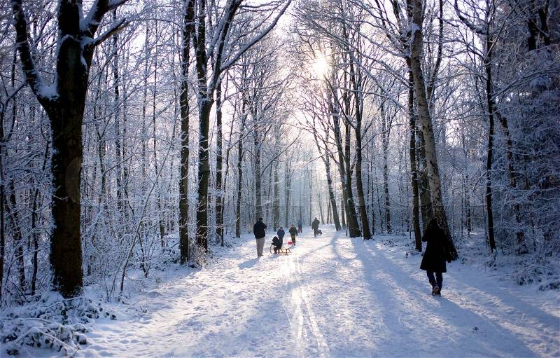 Winter landscape with people walking, stock photo