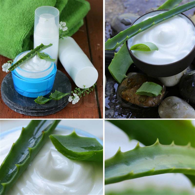 Collage cream with aloe vera - a natural organic cosmetics, stock photo
