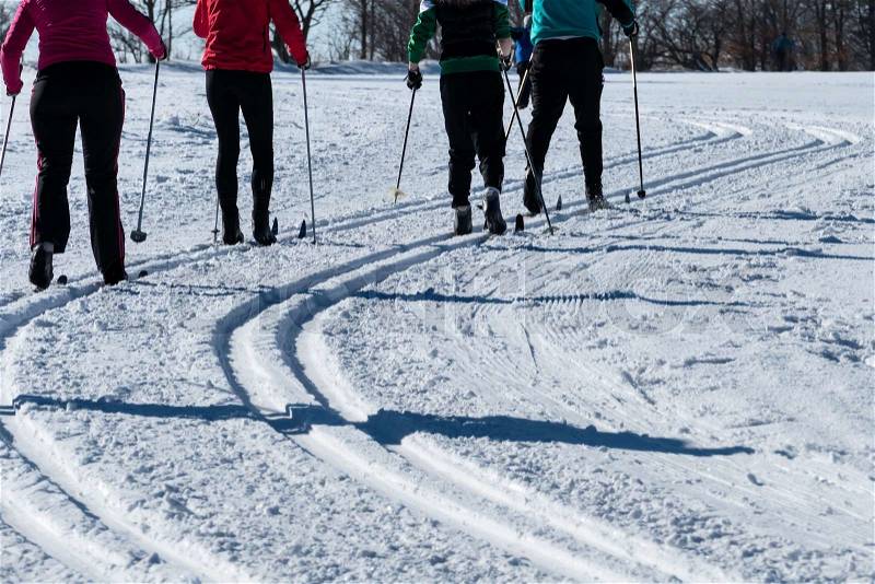 Winter sports cross-country skiing, icon sports, winter holidays, leisure, activity, stock photo