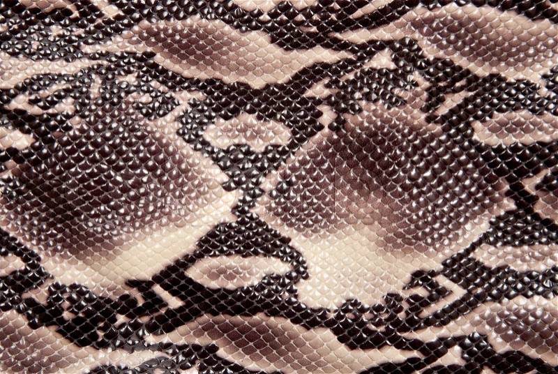 Texture backgroun brown snake leather, stock photo