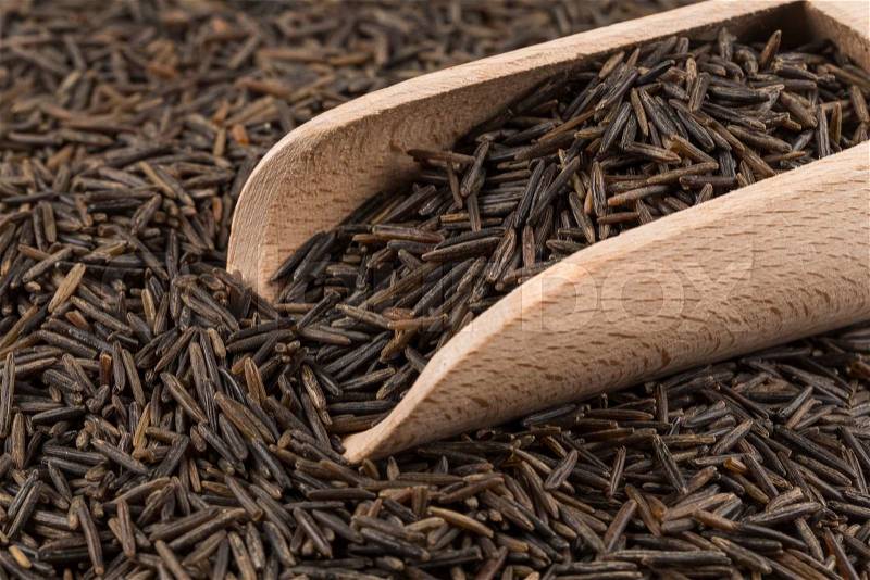 Wild brown rice in wooden spoon close up, stock photo
