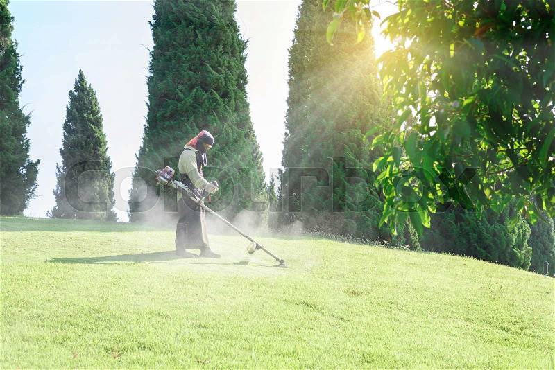 Worker mowing lawn in garden, stock photo