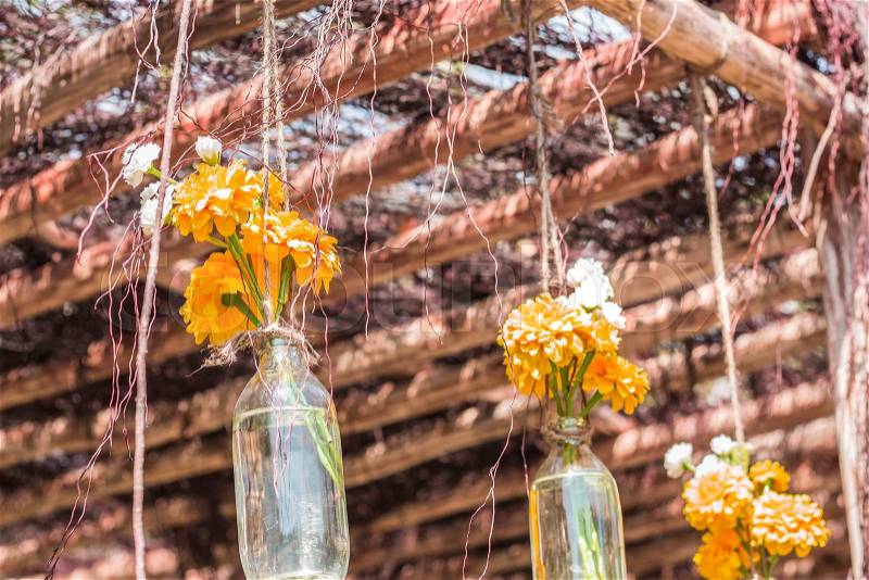 Flowers and ornamental hangers inside the park, stock photo