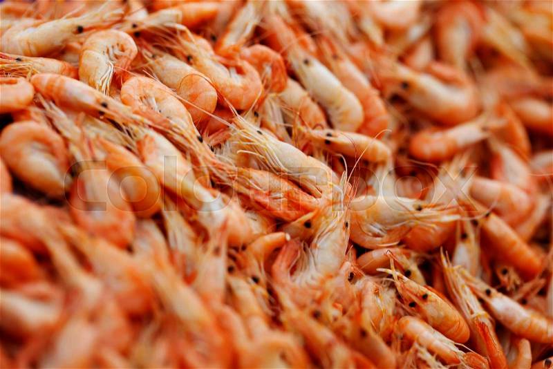 A marine shrimp background close-up eating seafood, stock photo