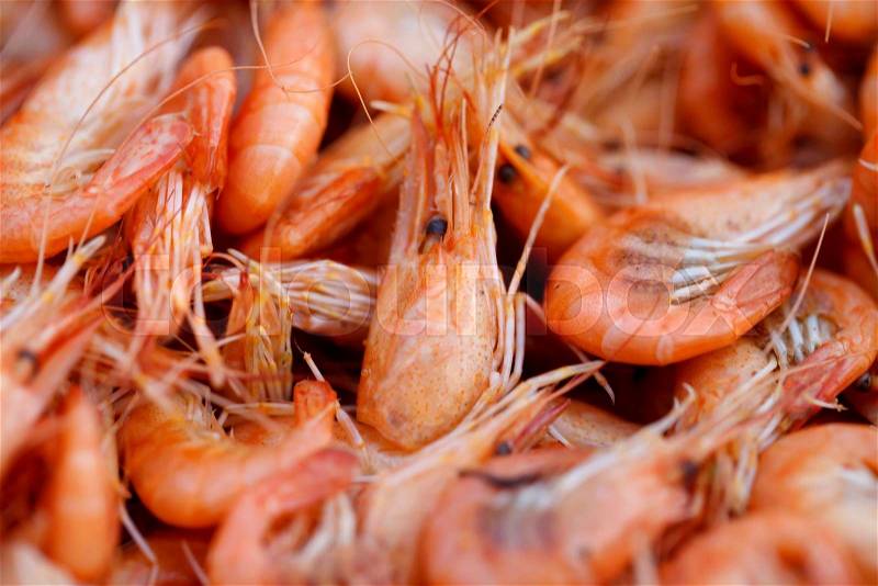 A marine shrimp background close-up eating seafood, stock photo