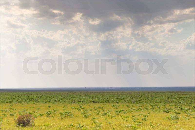 Spring in the steppes of Kazakhstan, stock photo