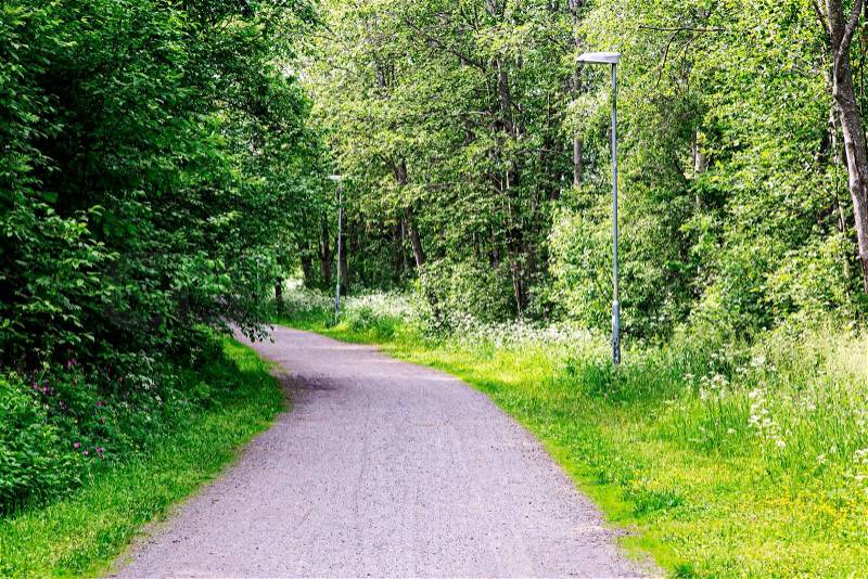 Gravel Road in Swedish Summer, stock photo