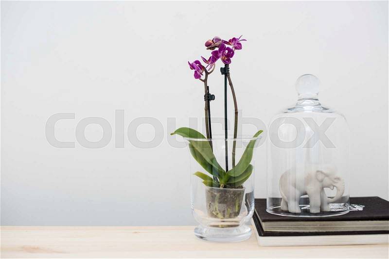 Stylish home interior decor, vintage style: old books, green plants and decorative objects on a table by the white wall, stock photo