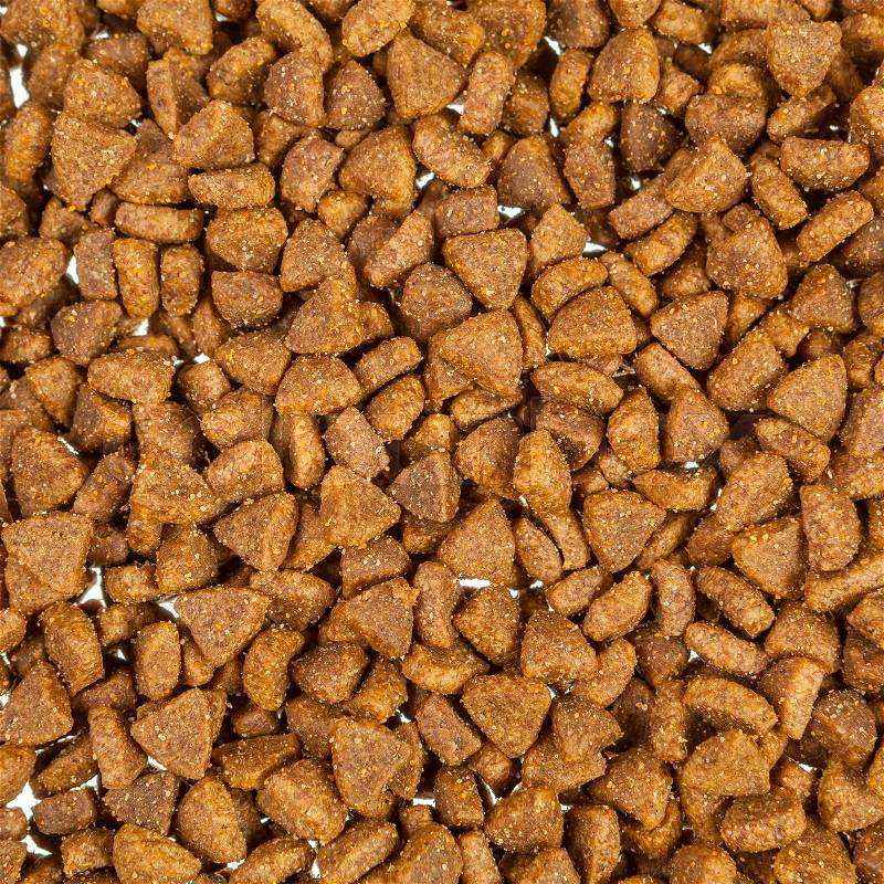 Pet food pieces background, stock photo