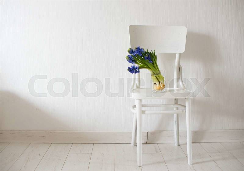 Spring flowers, blue hyacinth in a vase on a white vintage chair in white room interior, stock photo