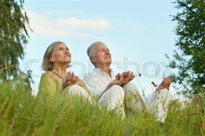 Portrait of happy elderly couple on nature at summer, stock photo